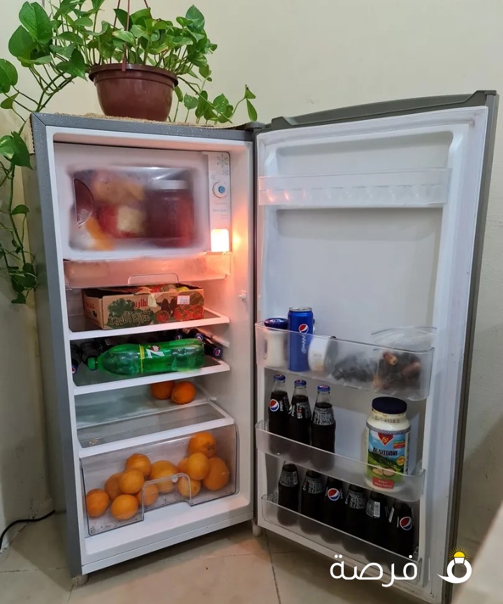ثلاجة وانسا صغير