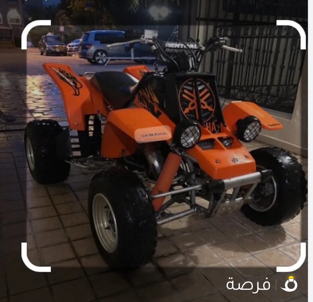 مطلوب بانشي باي حاله
