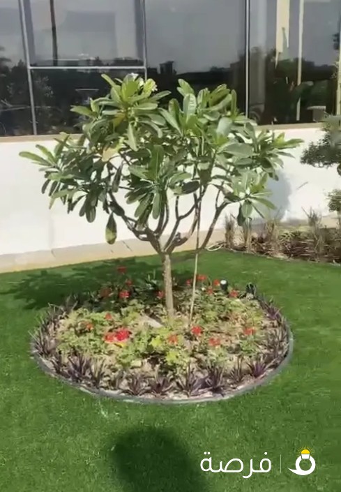 انشاء وتنسيق الحدائق وصيانة النخل والنباتات