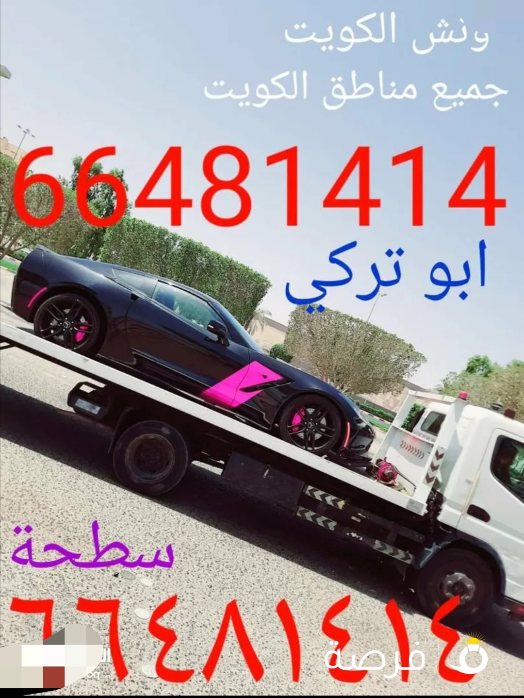 ونش كرين سطحة