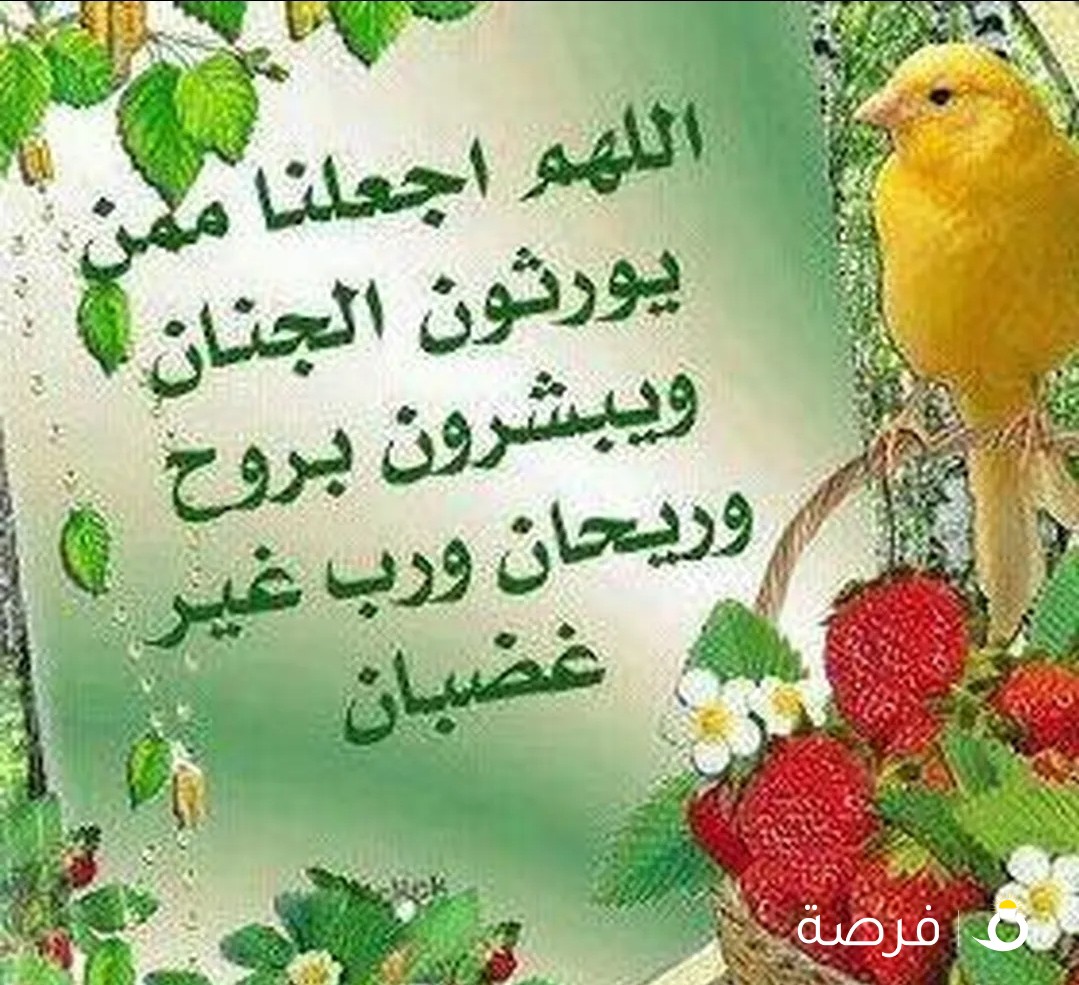 خط مميز للبيع
