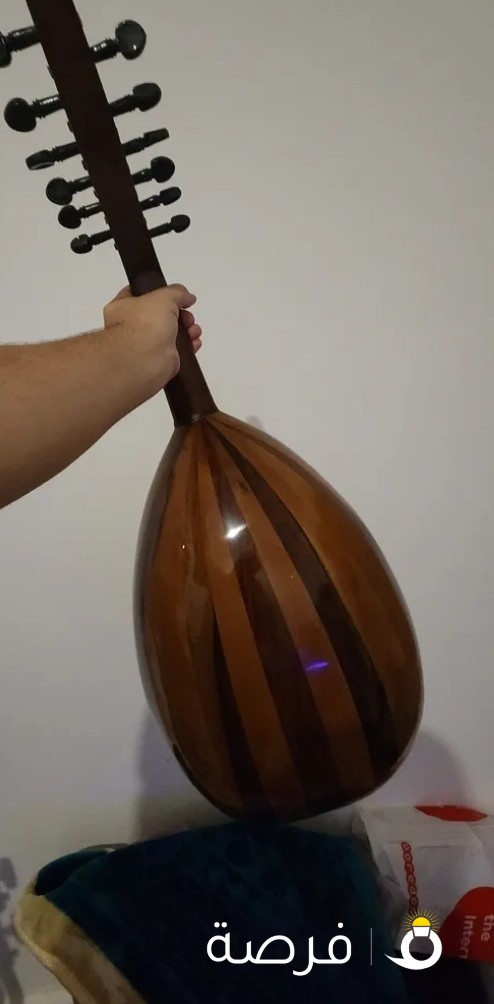 عود مصري حجم كبير
