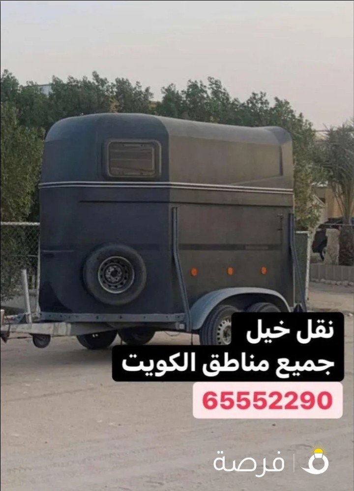 نقل خيل جميع مناطق الكويت