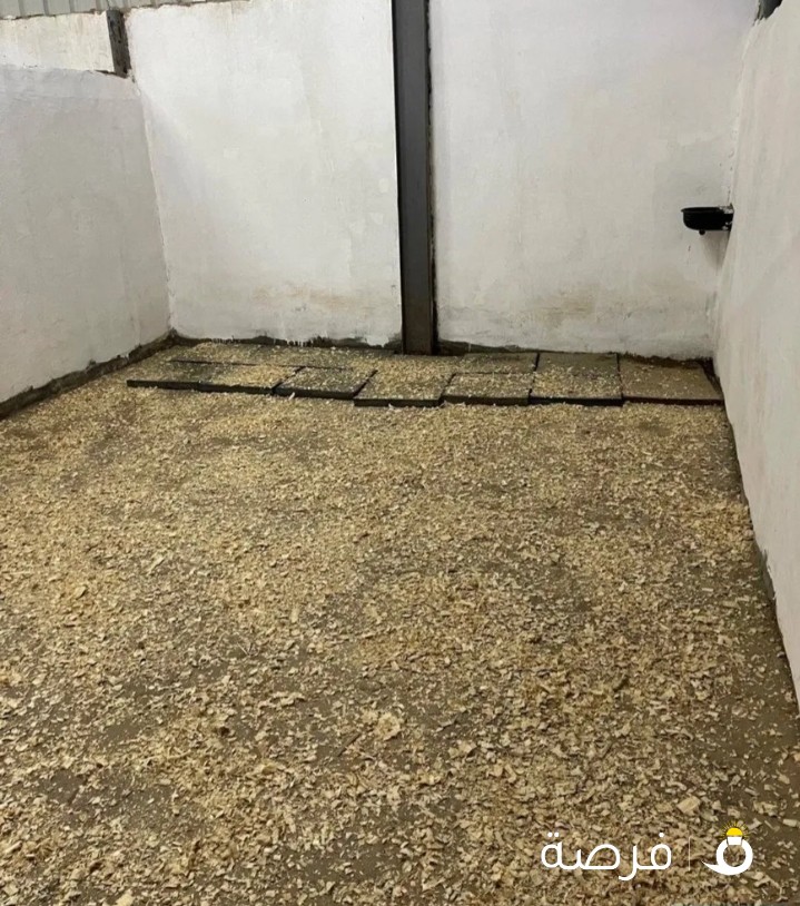 مربط لإيواء الخيل