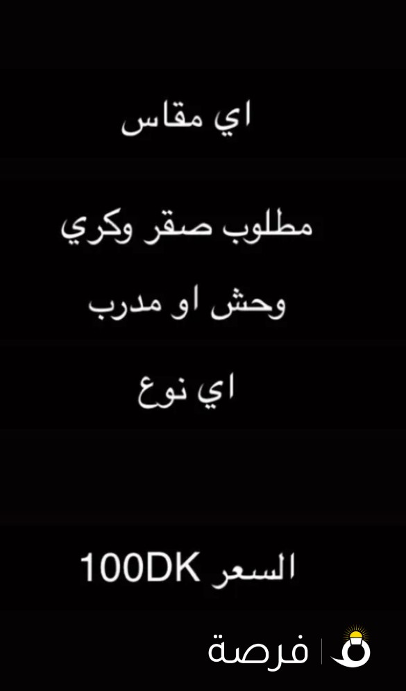 مطلوب وكري اي نوع واي مقاس