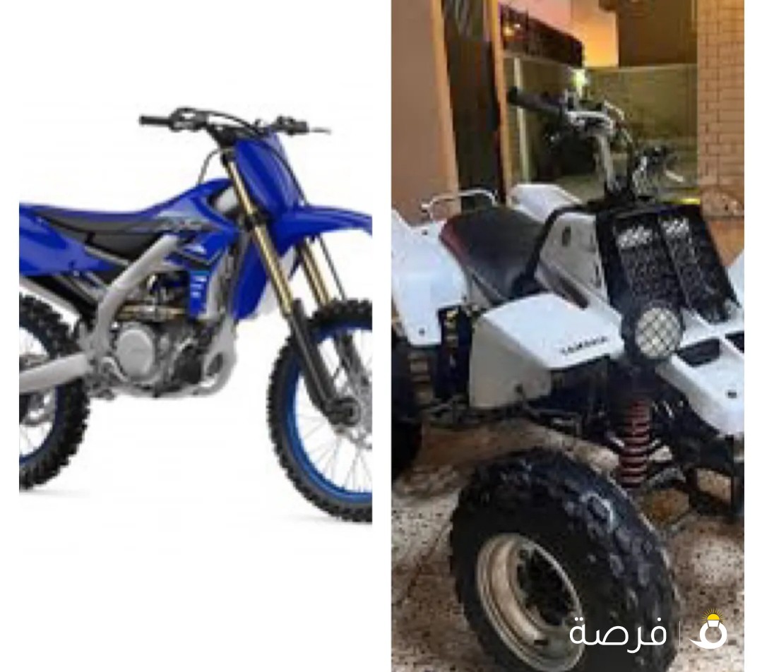 مطلوب بانشي او سيكل