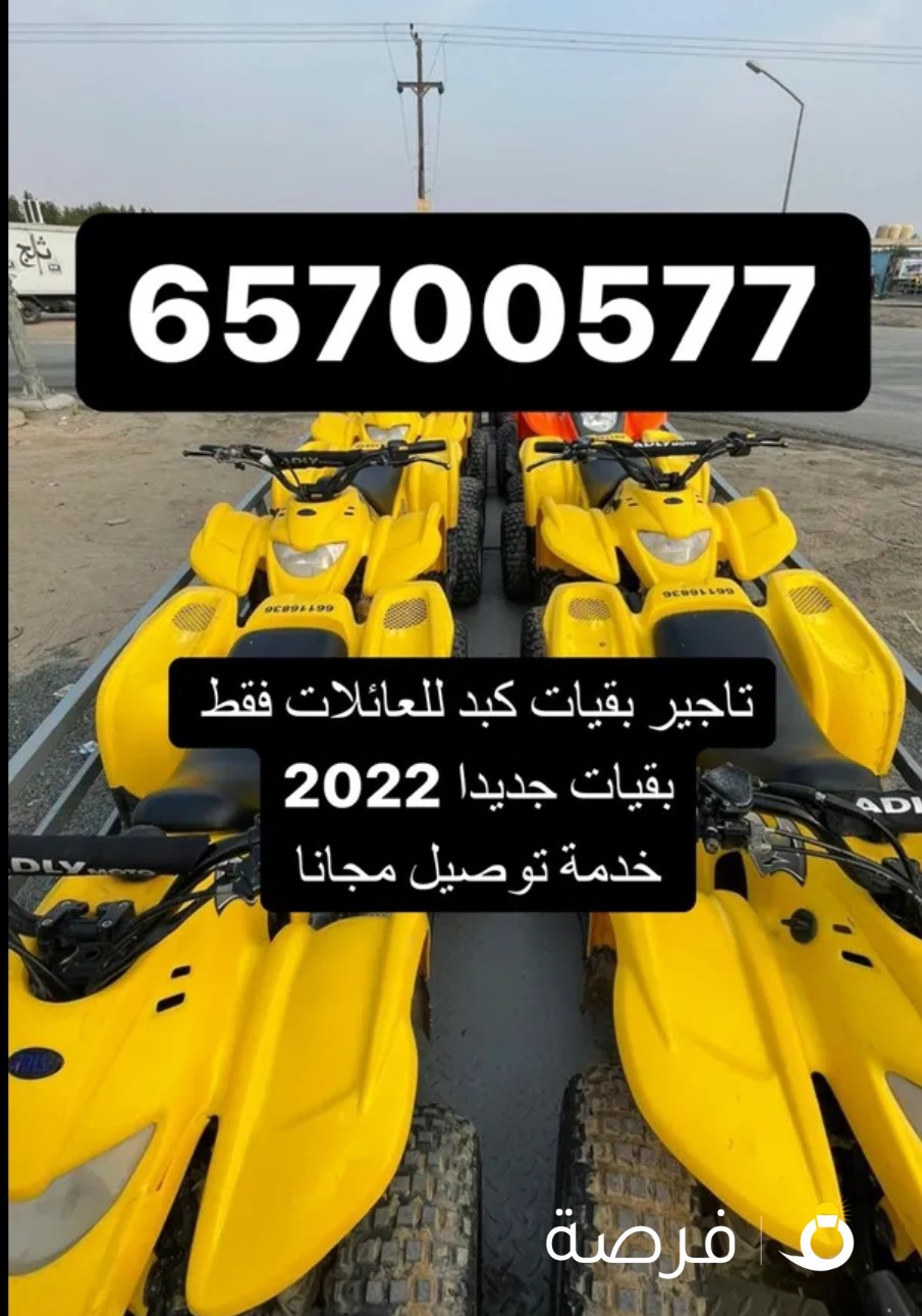 تاجير بقيات كبد