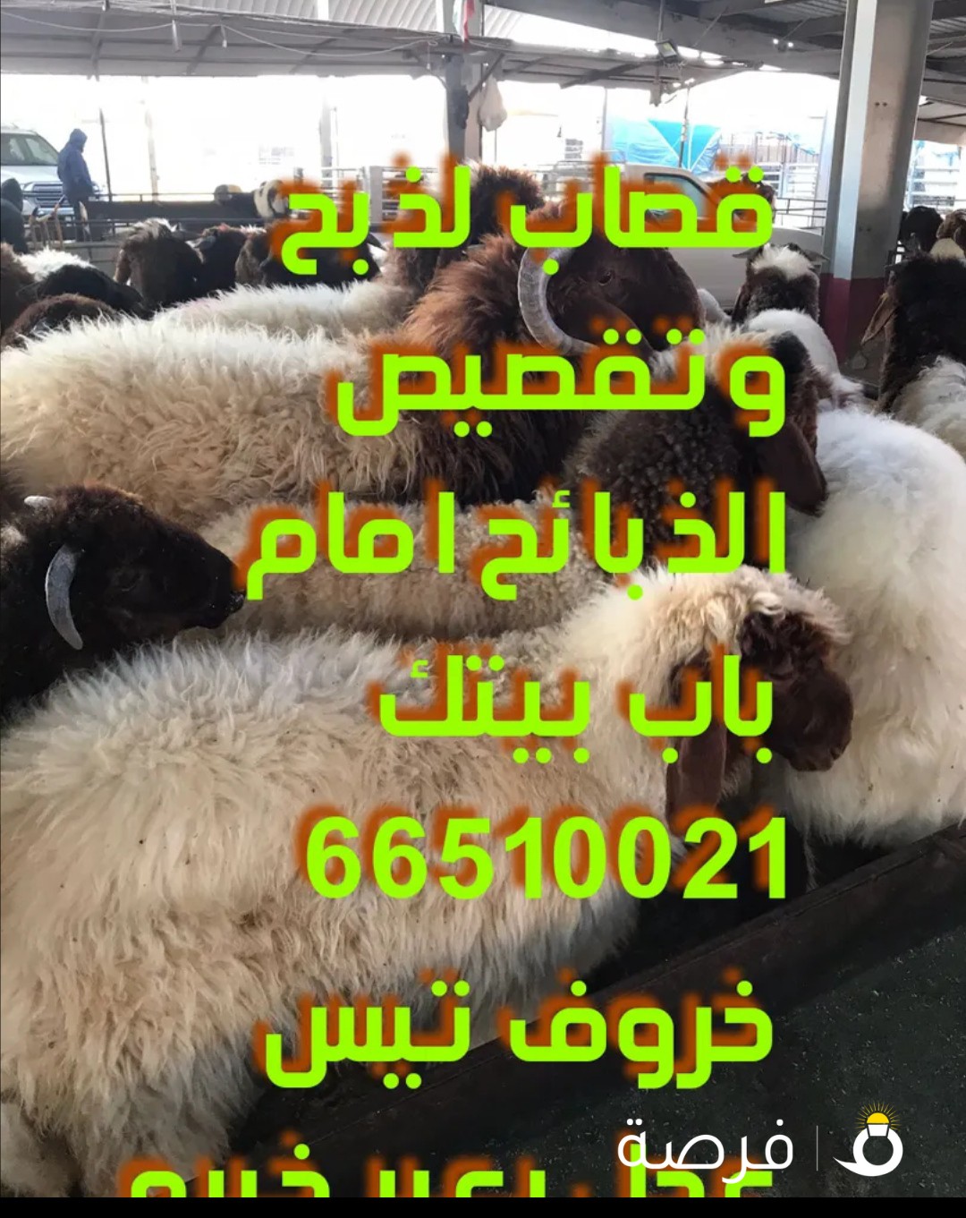 قصاب لباب بيتك زبايح لباب بيتك لجميع مناطق الكويت