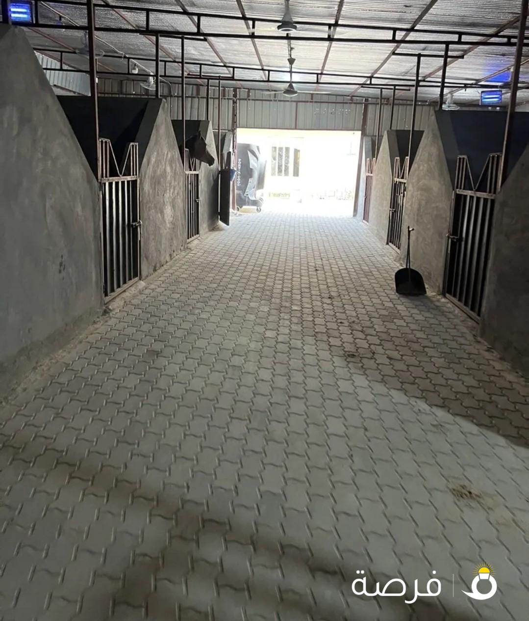ربط وايواء خيل - مربط الفارس