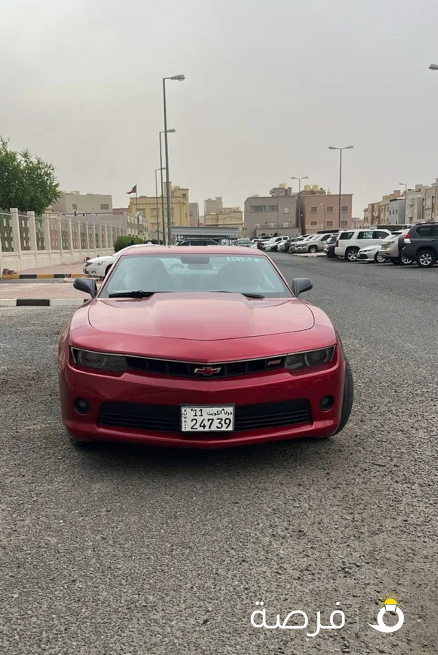 الي يدور النظظيف حياه