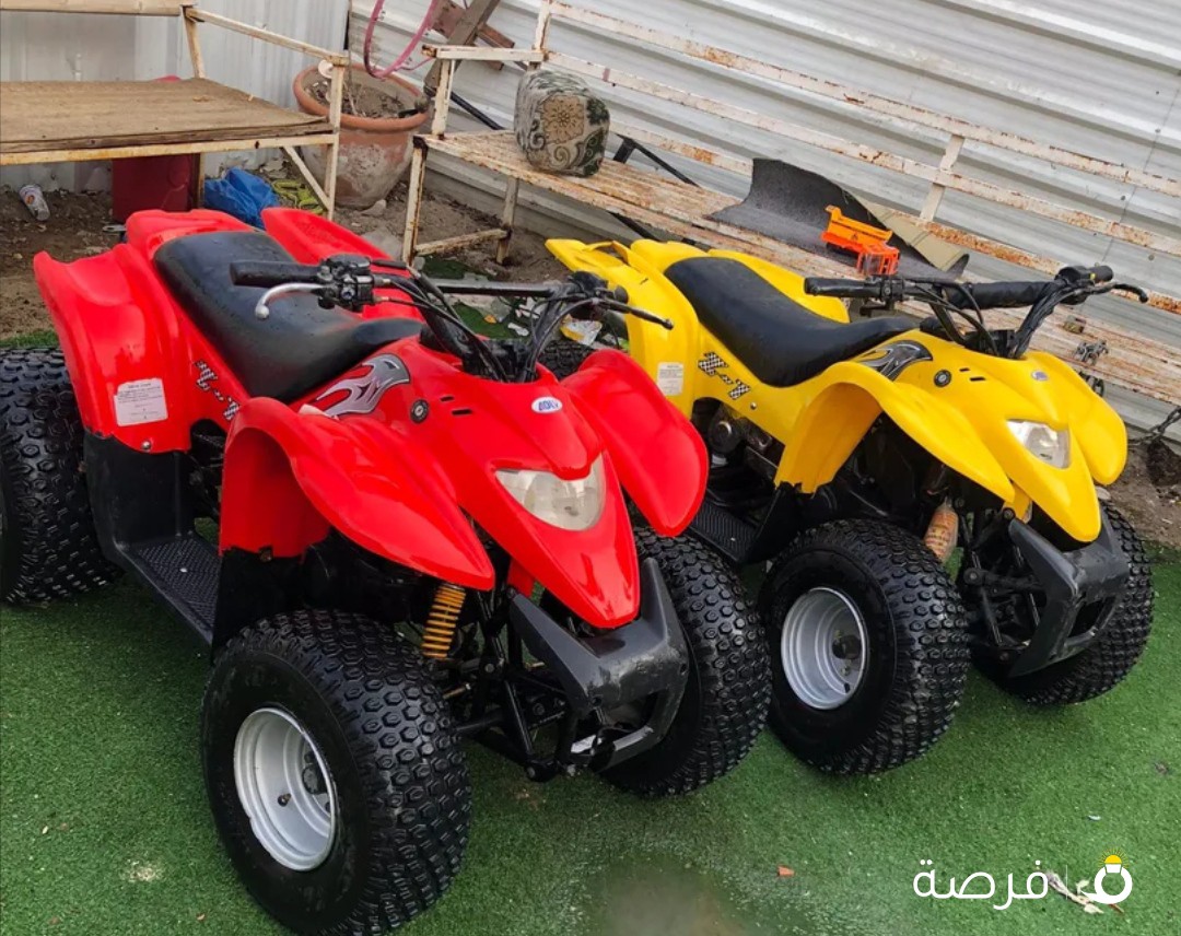 بقيات العميري حجم 100 العدد 2