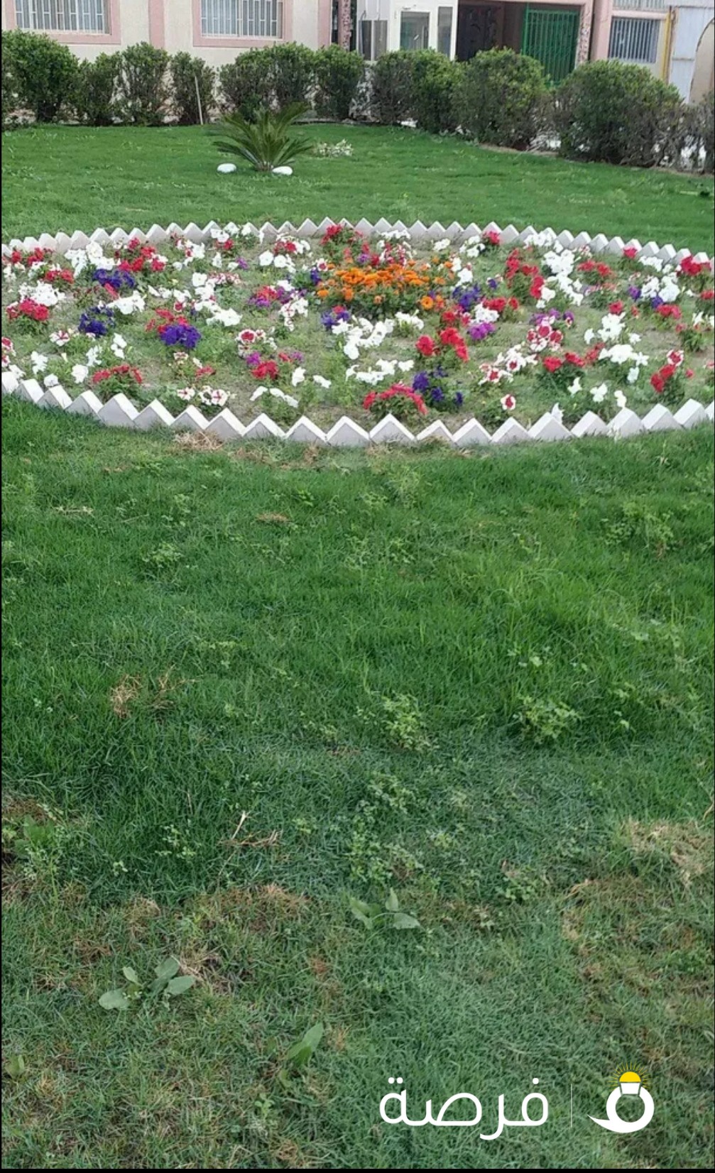 تنسيق حدائق