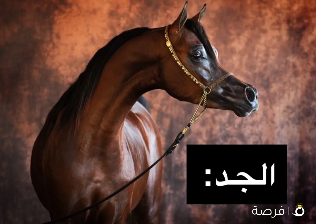 مهر بولش فااخر
