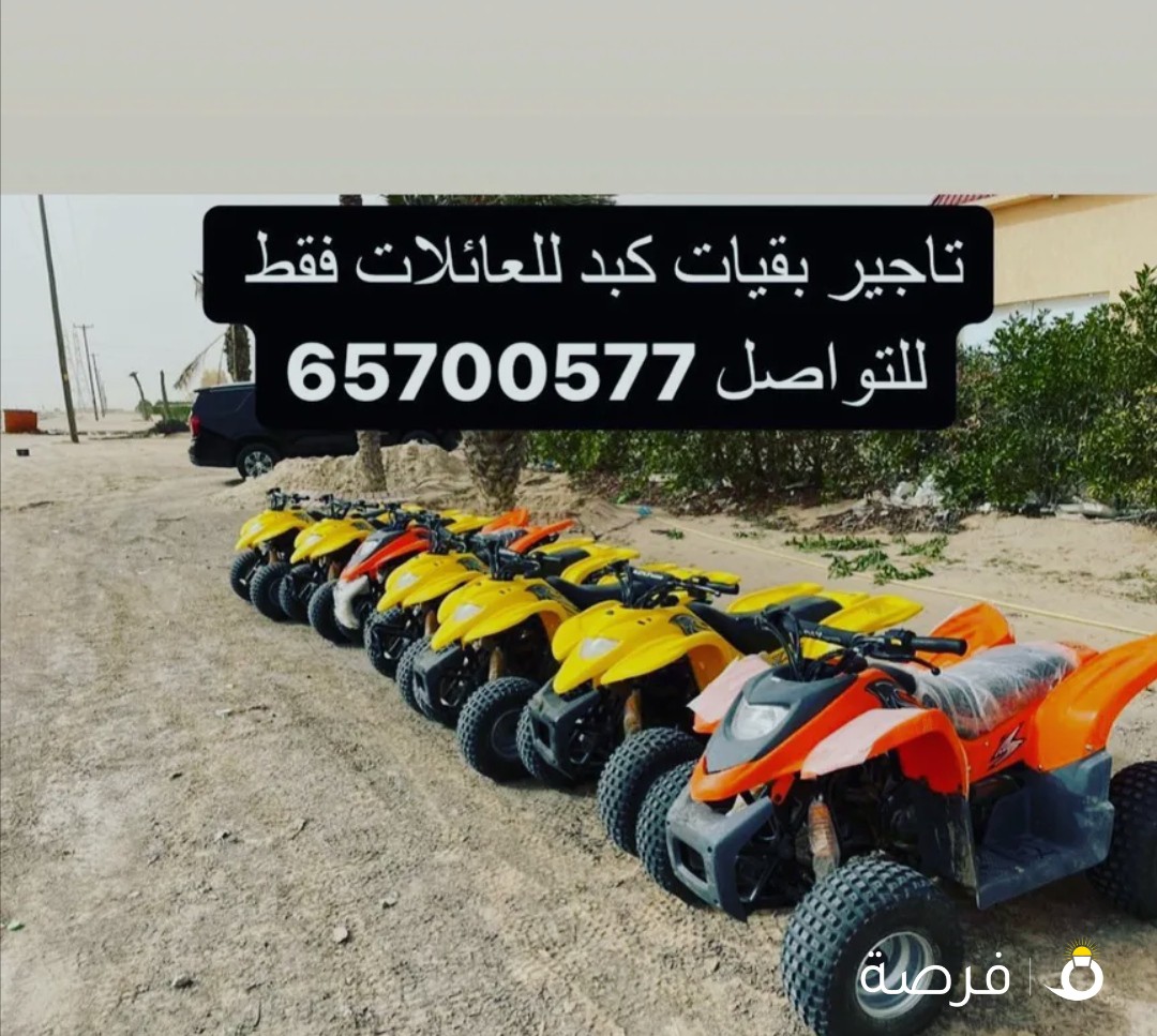 تاجير بفيات كبد