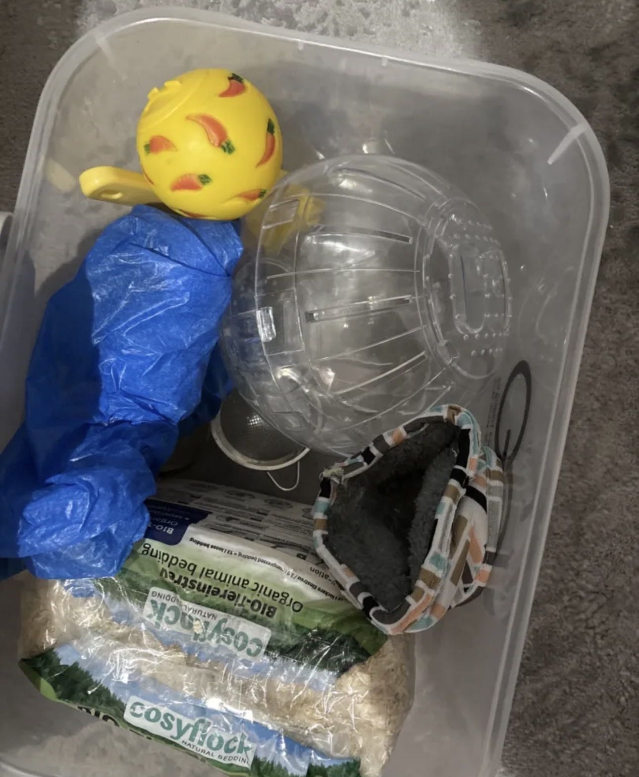 هامستر للبيع. الانثي حامل. وسعرها مع كل الأغراض. 32 دينار. وأقصى سعر 29