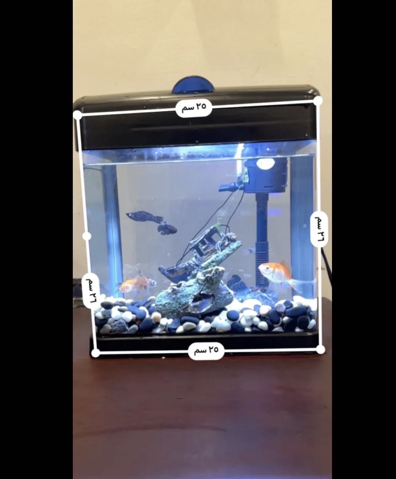 حوض سمك للبيع