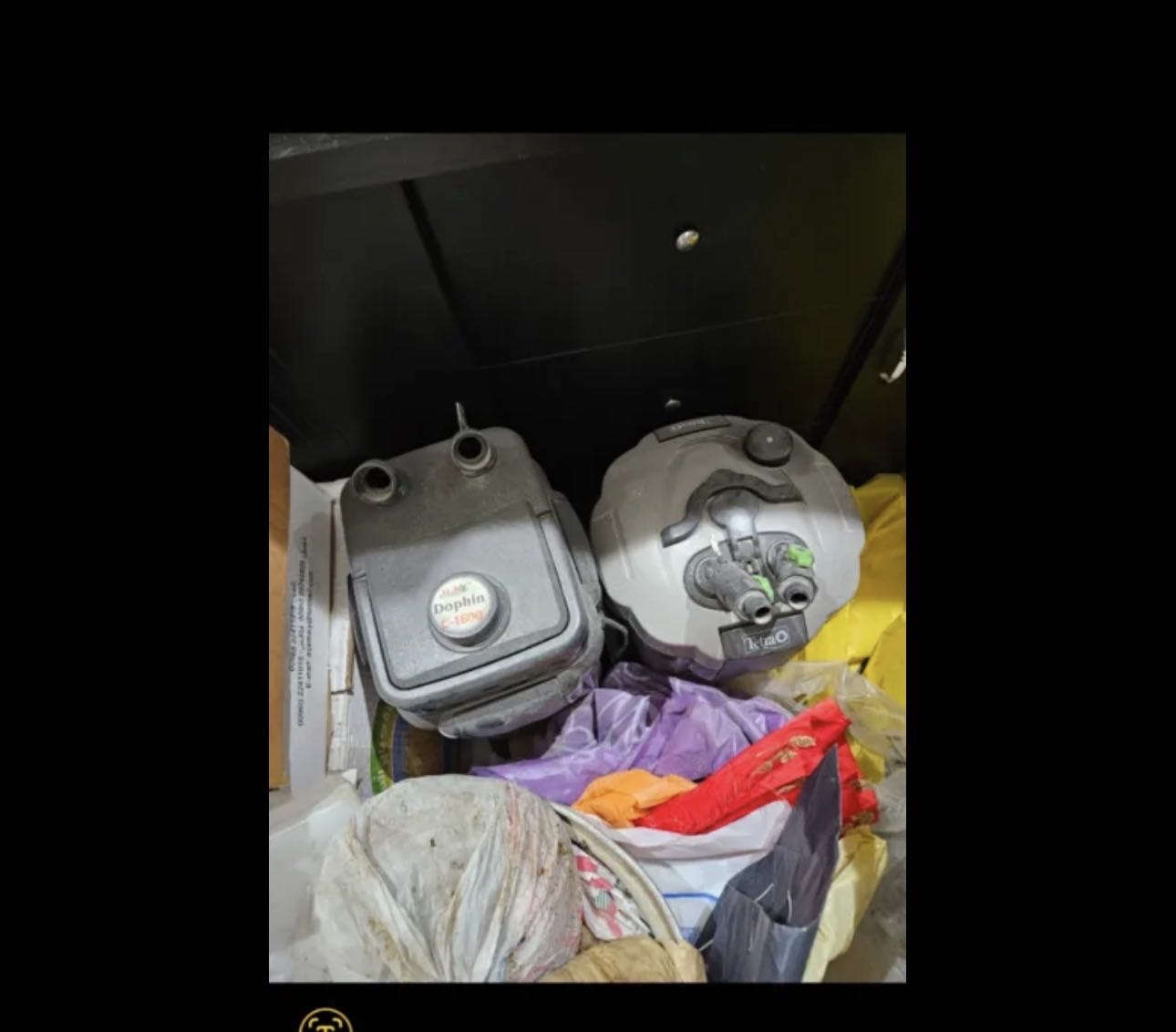 حوض سمك اصلي