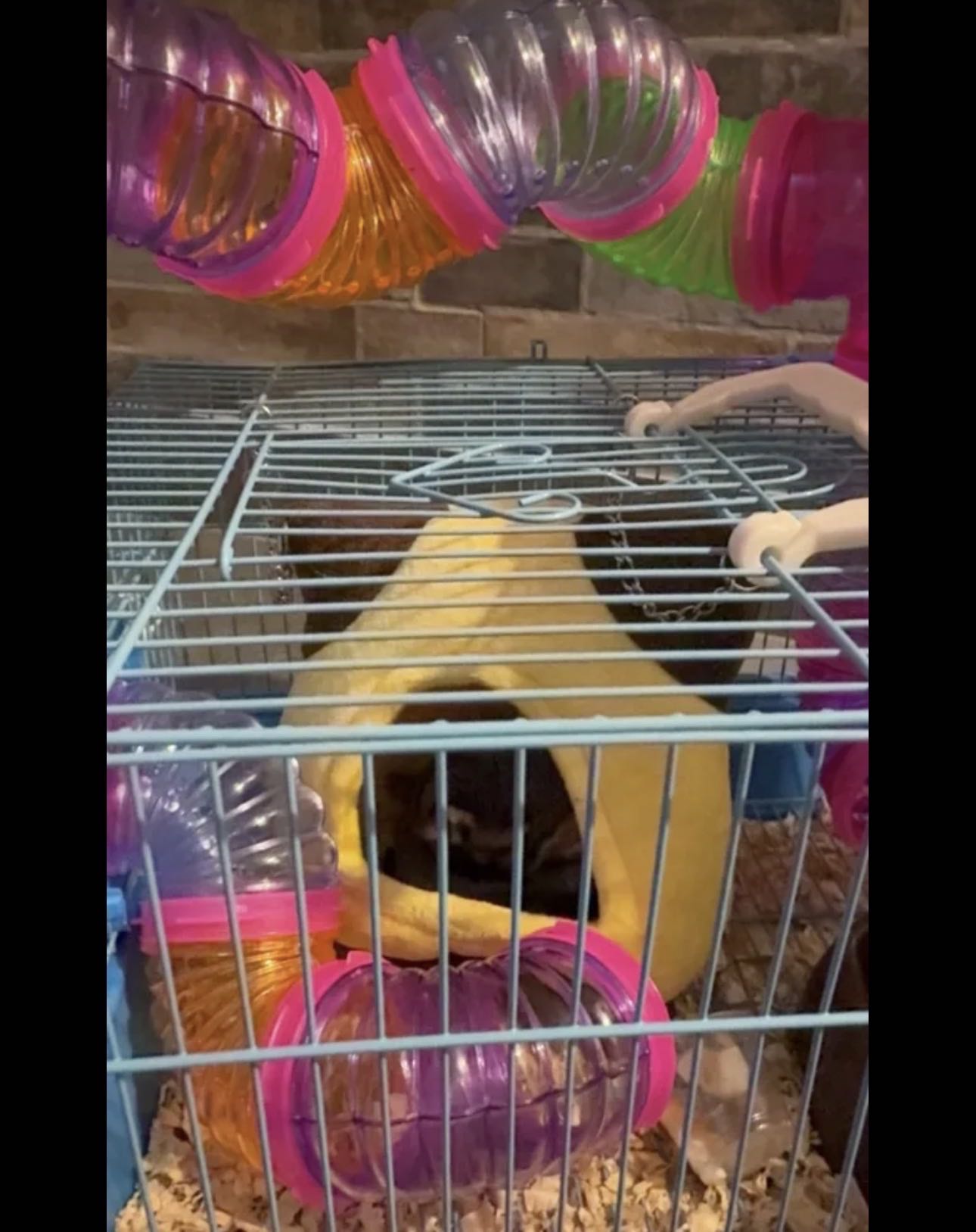 شوقر قلايدر مع قفص ونشاره خشب