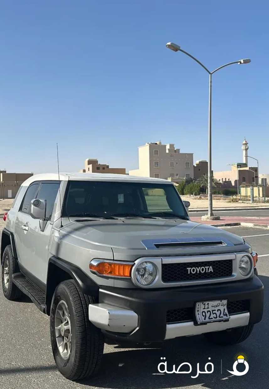 ا ف جي 2013