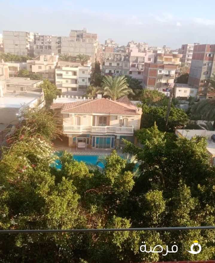 شقه للبيع بالاسكندرية