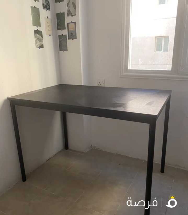 Ikea Sandsberg Table