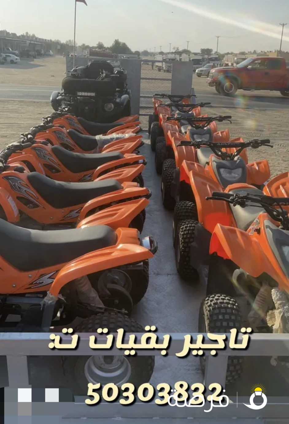 تاجير بقيات جديده كبد
