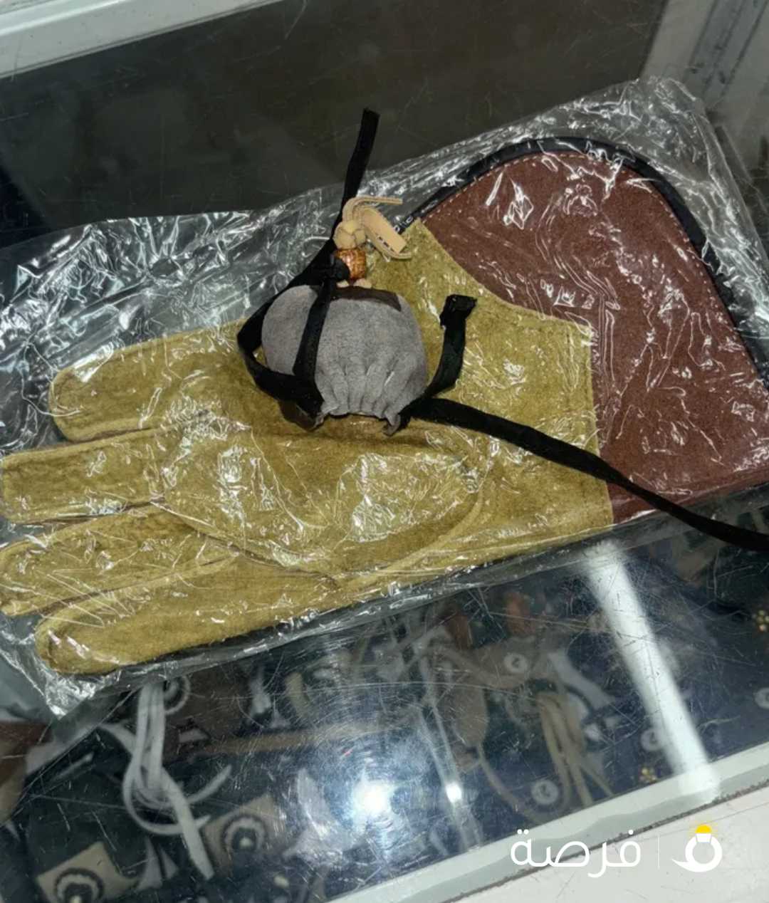 طائر صن كنيور للبيع
