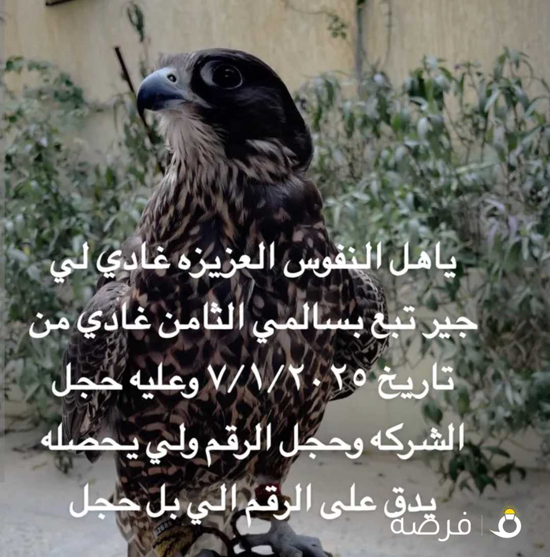 كل شي موجود بل اعلان