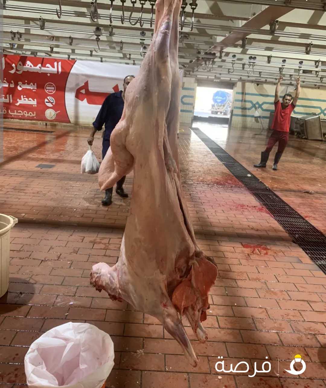 للبيع ذبايح شي طيب مع خدمة التوصيل
