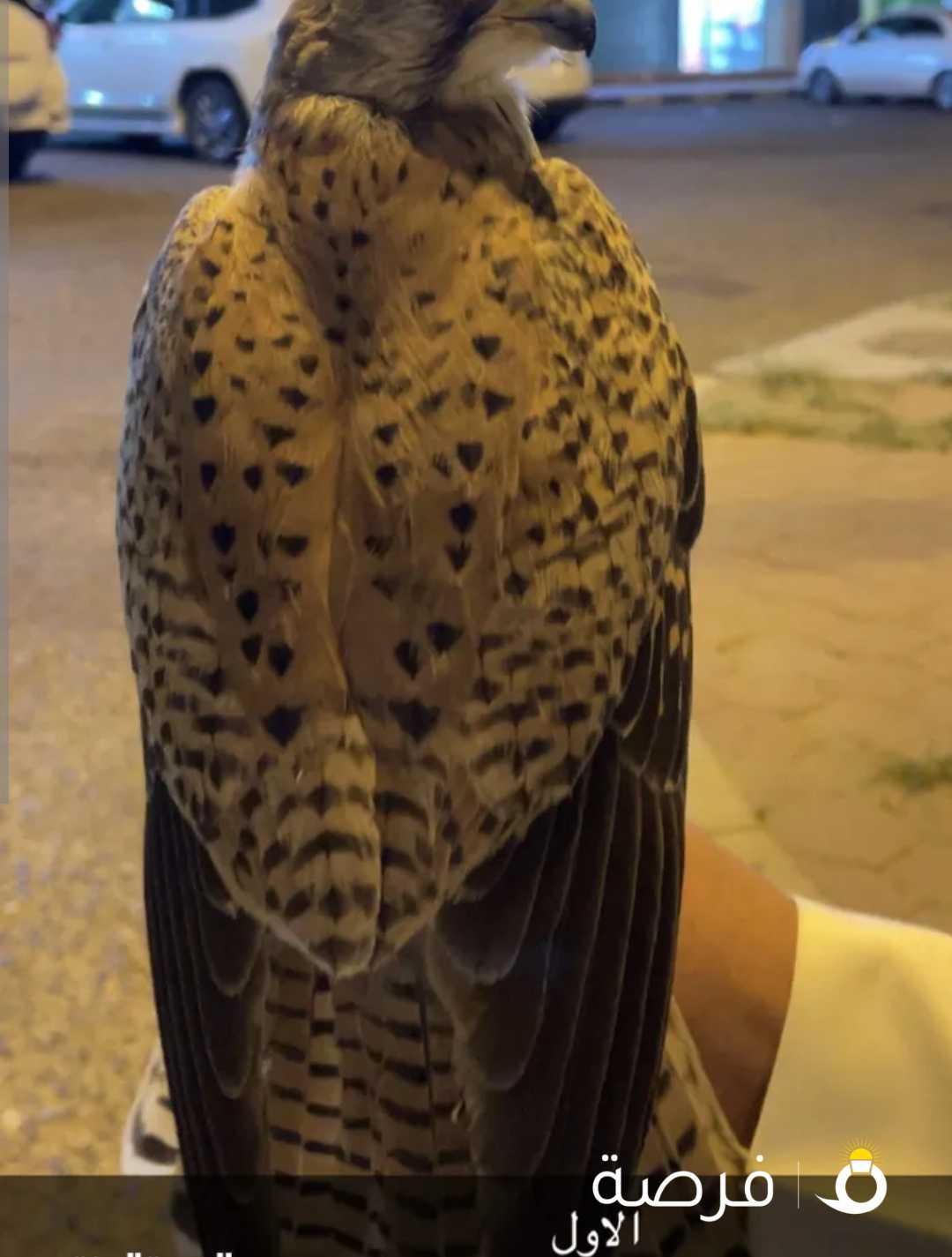 للبيع حميميج مع كامل اغراضه