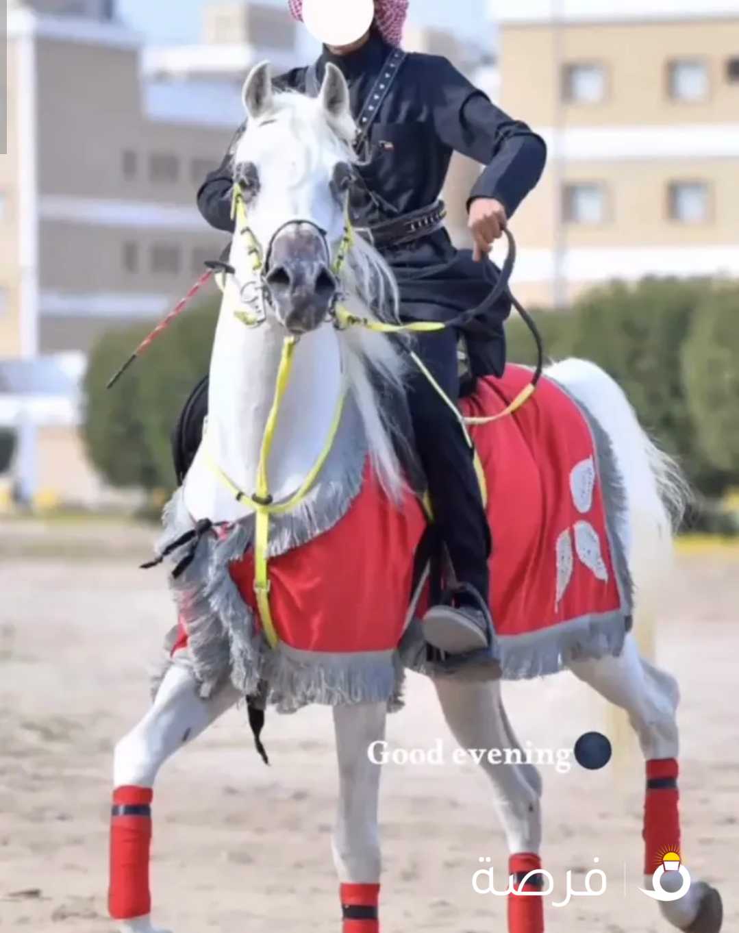 حصان