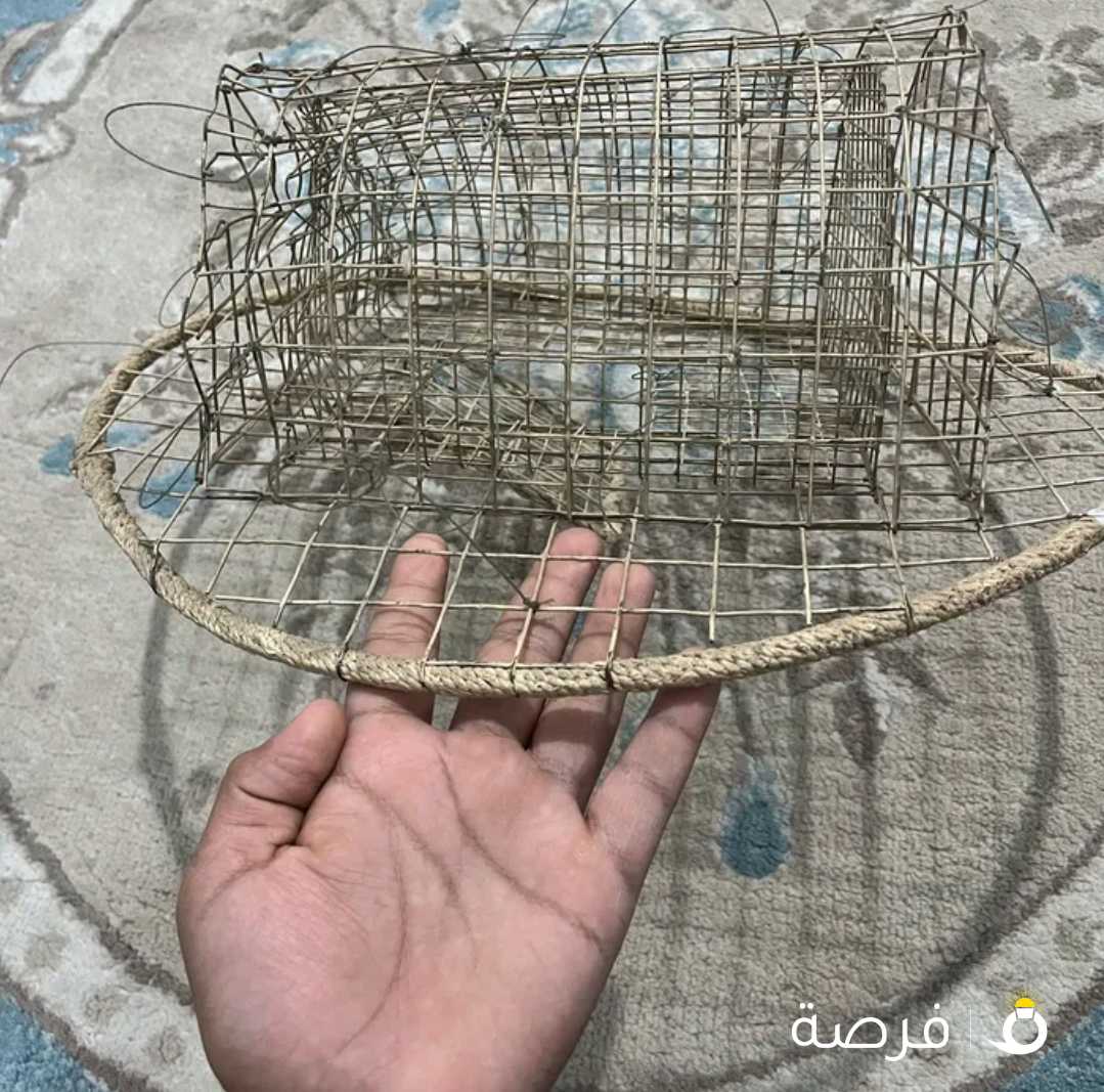 مصايد طير الصقر والطيور الجارحة