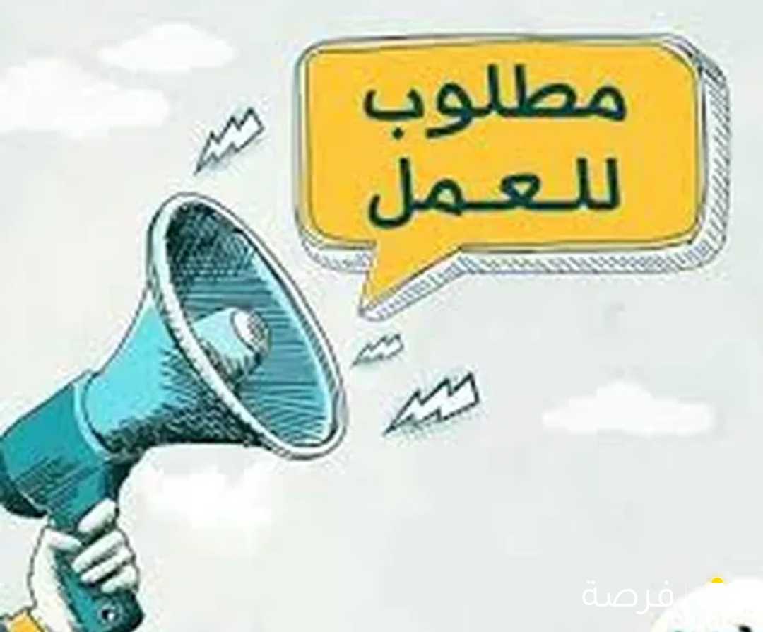 مطلوب دكتور بيطري