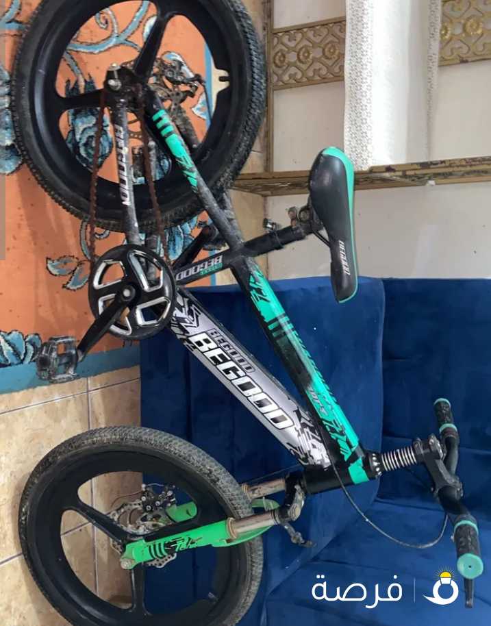 قاري رياضه