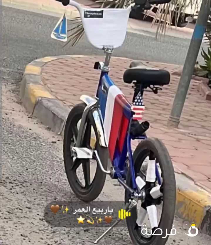 قاري ابو نجمة