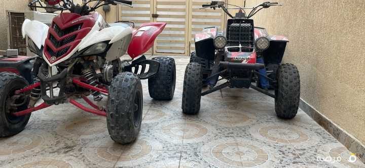 للايجار بانشي ورابتر بالساعه فقط
