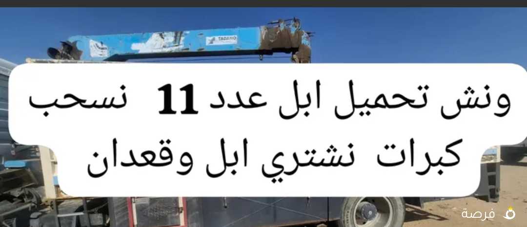 نشتري ابل وحشوونش تحمل بل 10