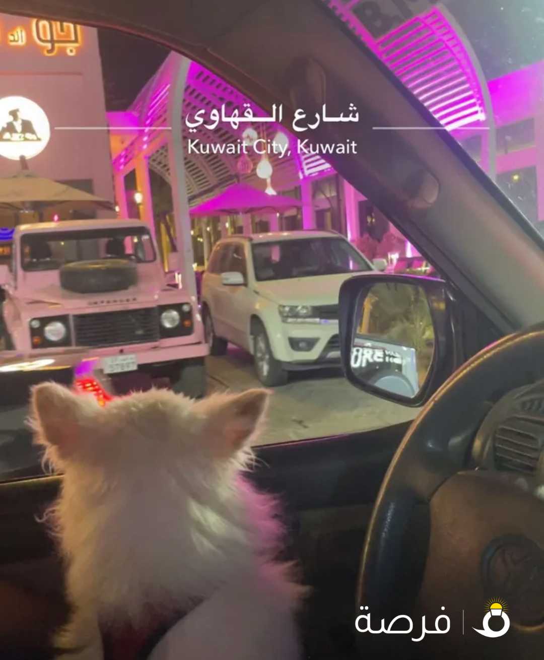 للبيع جلب لولو