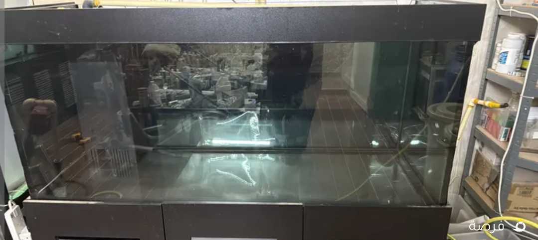 حوضين سمك مع سمب