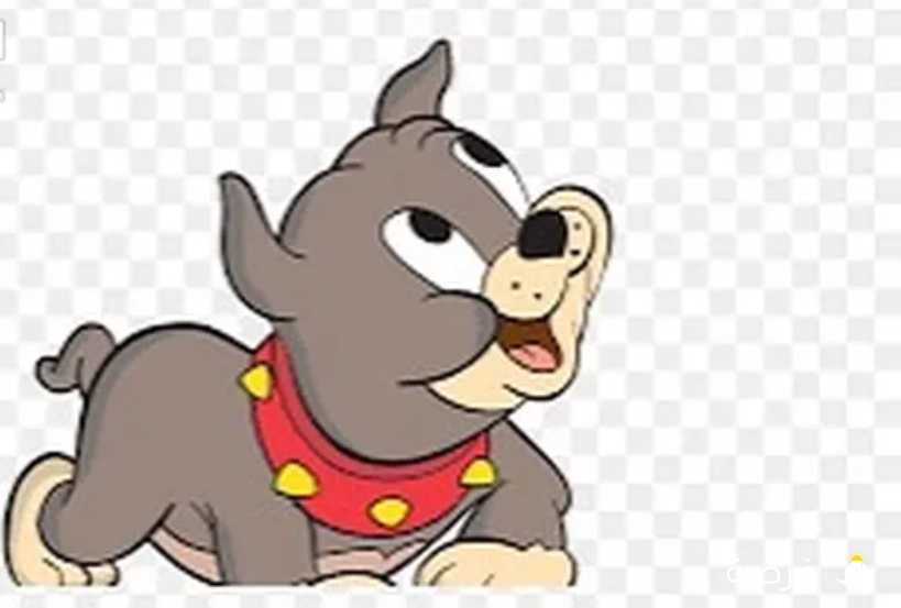 نبي جلب بوجي لتبني حق ولدي الصغير وأعتني فيه عنايه جيده اهم شي ان يكون هادي واكون شاكرن لكم يااخوان