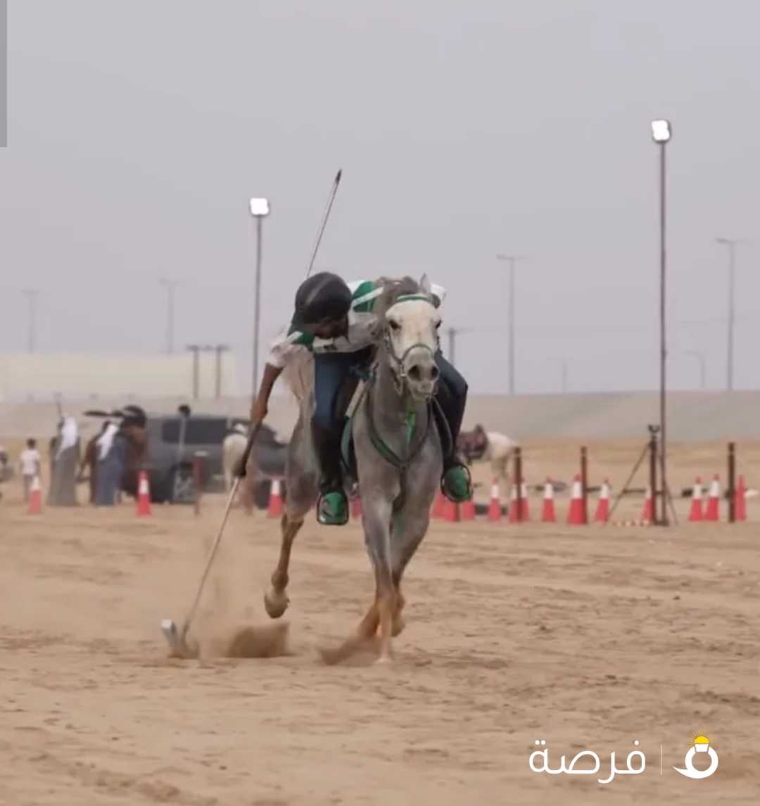 حصان مصريي
