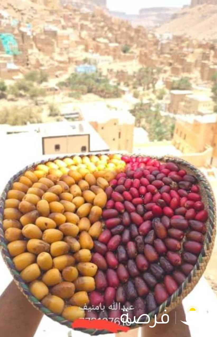 ابحث عن وظيفه عمل حارس عماره في شغل بيت