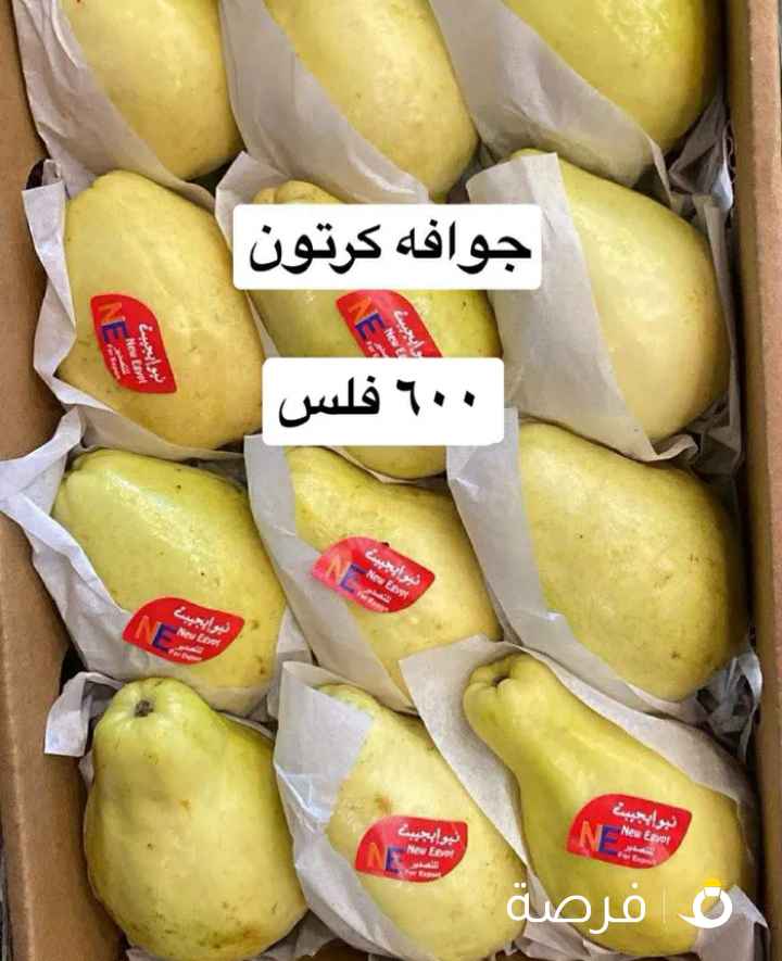 عروض لوجي يوم الخميس والجمعه