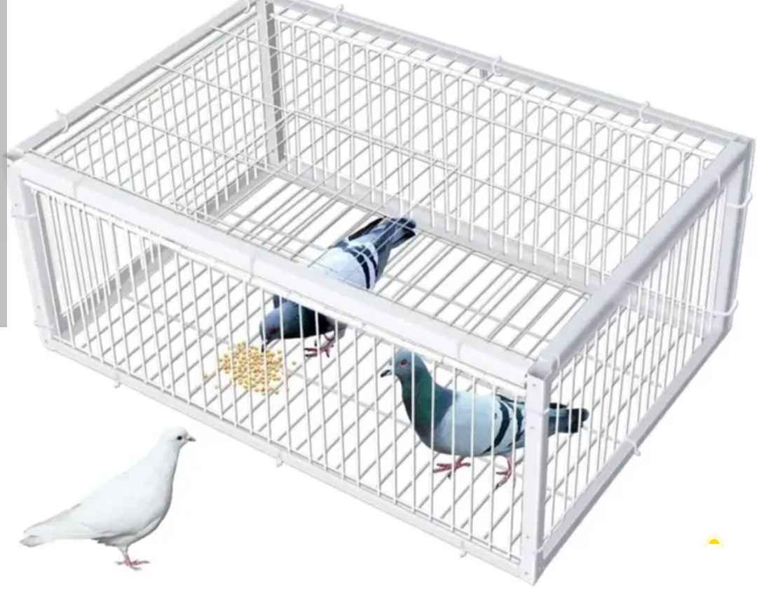 مجانا قفص كبير مع زيبرا عند شرائك الفخ بسعر 8 فقط