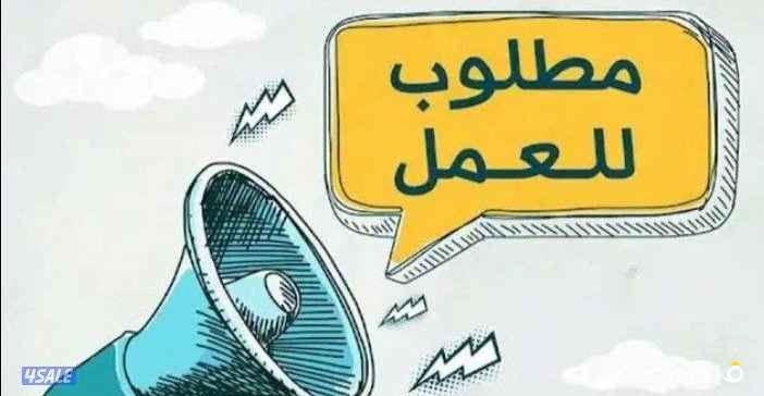 مطلوب مندوب شؤون و جوازات