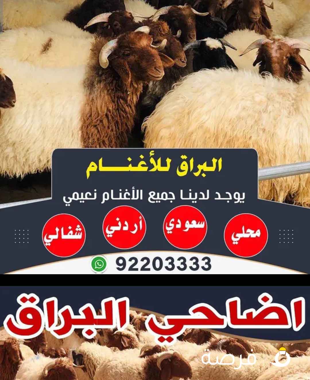 اغنام البراق
