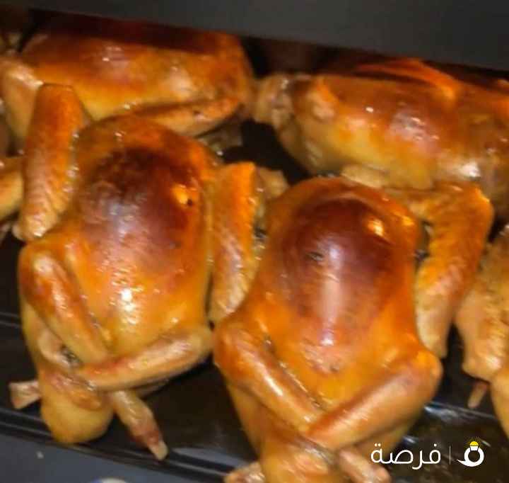 حمام محشي + بط بالفرن