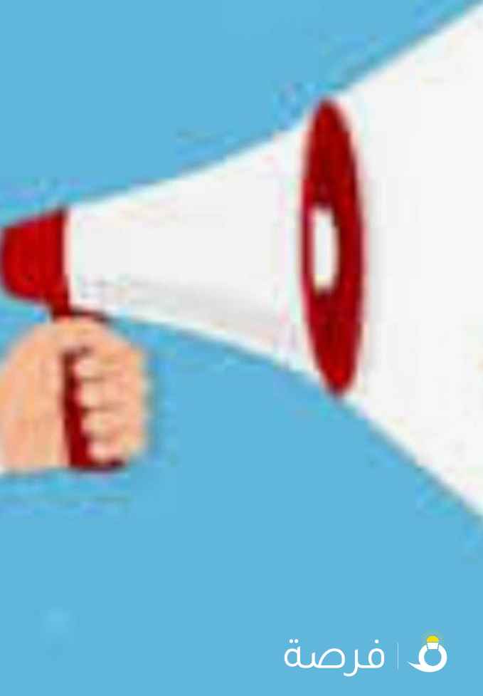 مطلوب امين صندوق