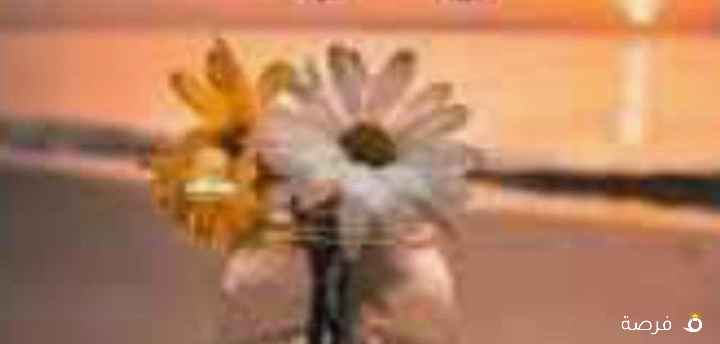 مطلوب موظفه سكرتيره كويتيه عدم الاحراج الاعلان
واضح وتساب