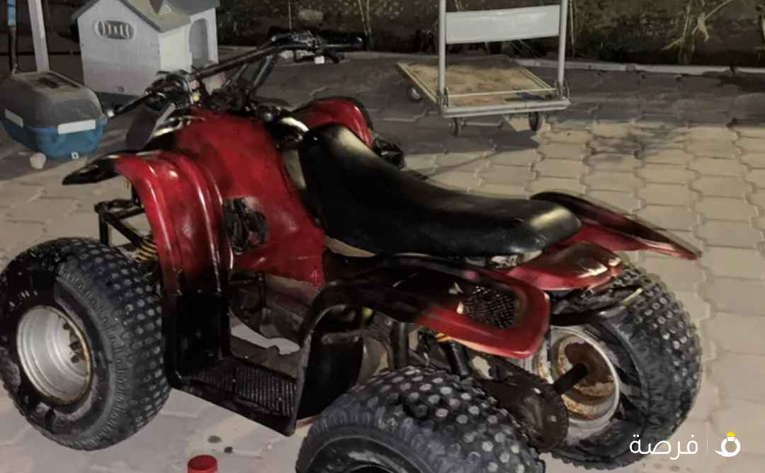 مطلوب شاصي بقيعميري